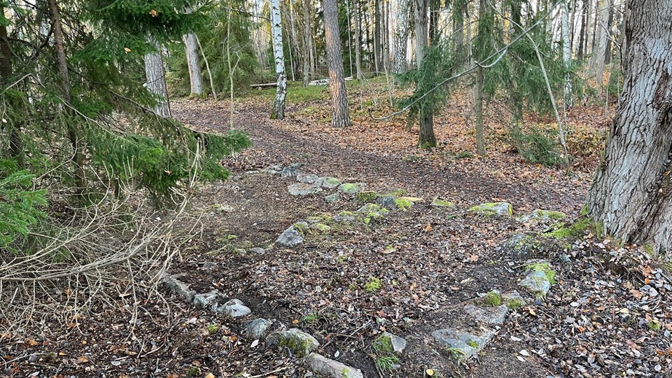 Stenar på marken i skogen markerar en gammal husgrund.