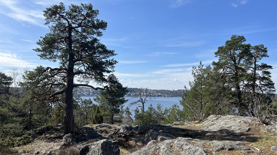 Stenklippor med träd som delvis skymmer utsikten över vattnet.
