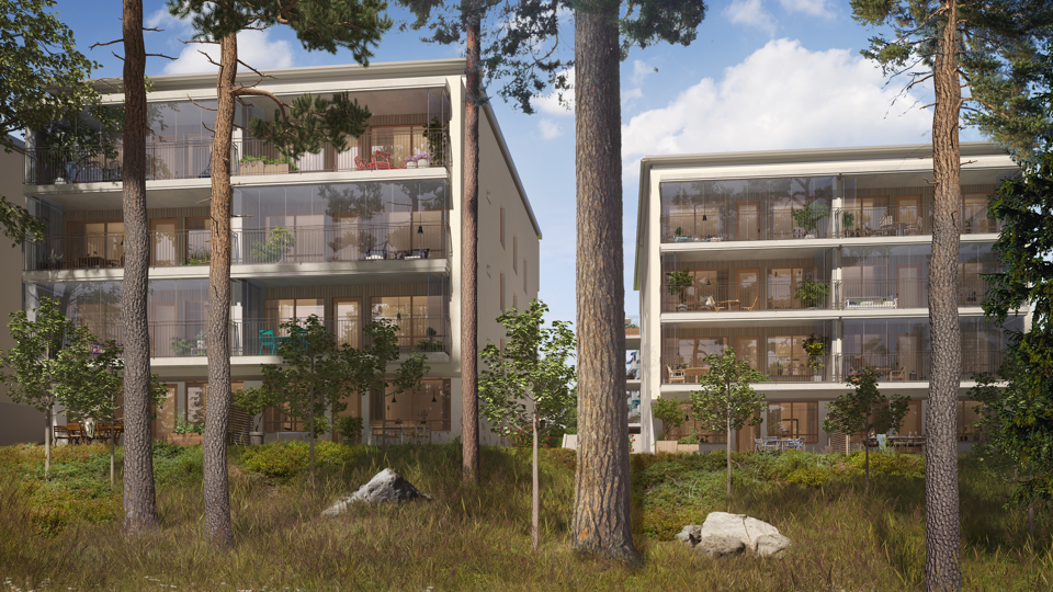 Två bostadshus vid ett skogsbryn men höga tallar. Bostäderna har stora inglasade balkonger. Illustration