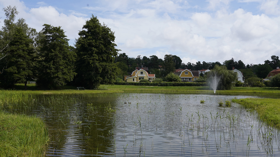 Damm med fontän, omgiven av lövträd och grönytor. I bakgrunden syns villabebyggelse, fotografi.