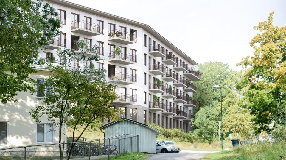 Flerbostadshus och mindre hus. Grönska, träd och parkerade bilar. Illustration