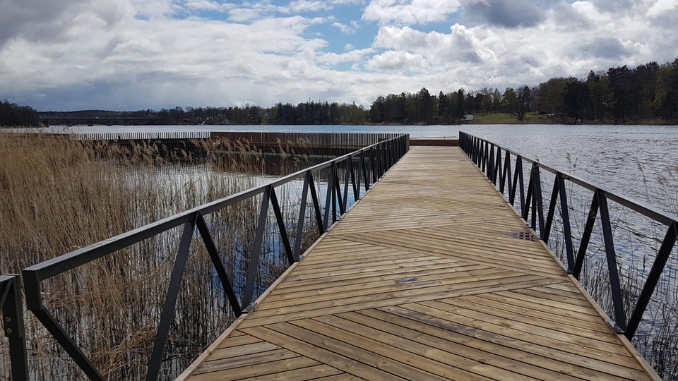 Brygga vid strandpromenad. Vatten, vass och skog. Foto.