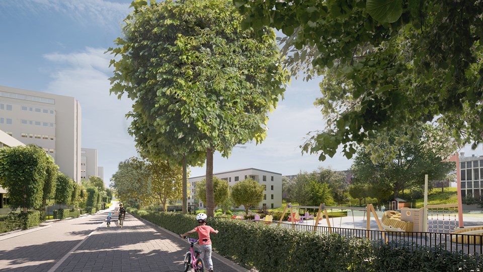 En park omgiven av träd, buskar, hus och cykelbana, illustration.