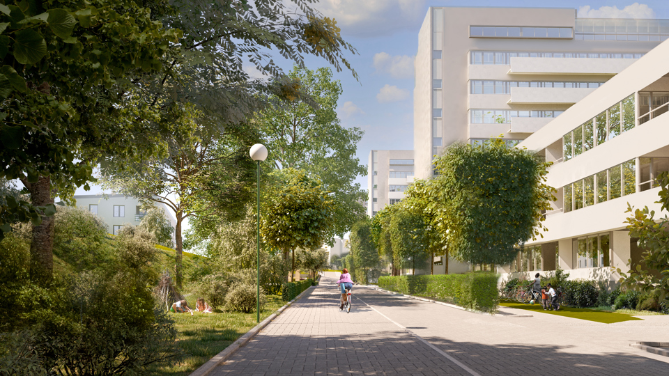 Cykelbana omgiven av hus, träd och buskar, illustration.