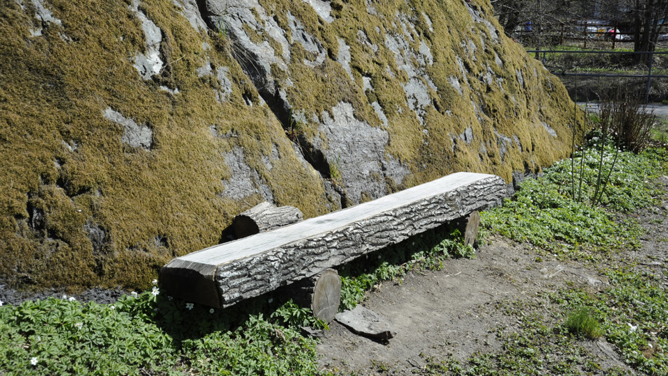 Bänk av trä, med bark kvar på kanterna, intill mosstäckt klippa , fotografi.