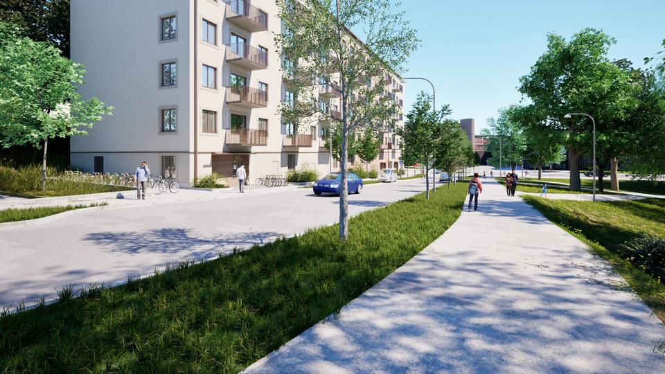 Gata vid hus, cykelväg och trädplanteringar. 