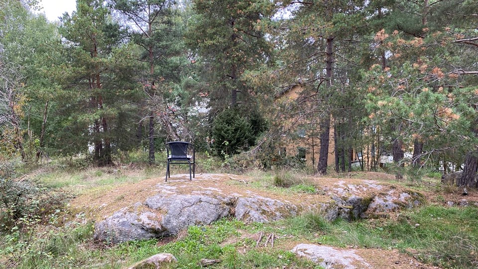 Skogskulle med tallar. En stol är placerad på kullen, foto.