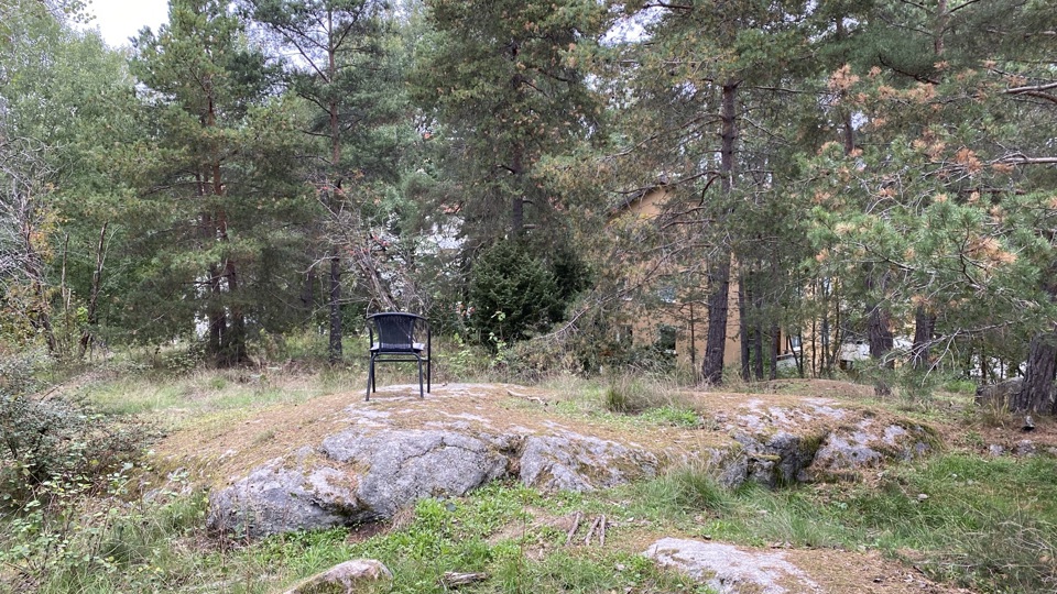 Skogskulle med tallar. En stol är placerad på kullen, foto.