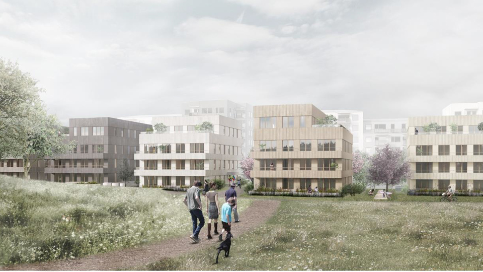 Äng framför bostadsområde, illustration.