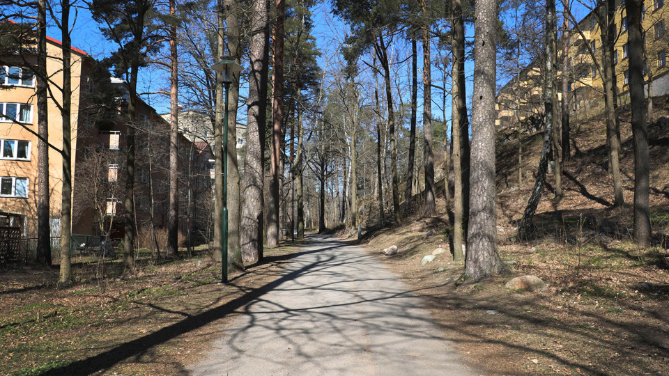 Gångväg omgiven av träd och hus, fotografi.