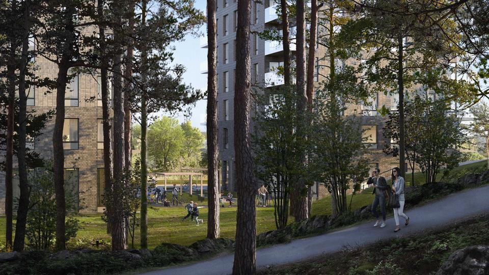 En gångväg kantad av tallar och andra träd. Bakom gångvägen ses flerbostadshus. Mellan husen grönytor där barn leker. Illustration