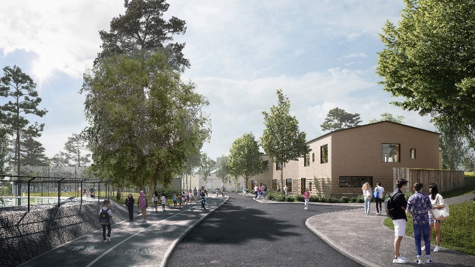 Gångstråk som leder till skolområdet omgivet av tallar och lövträd. Barn i rörelse, illustration.