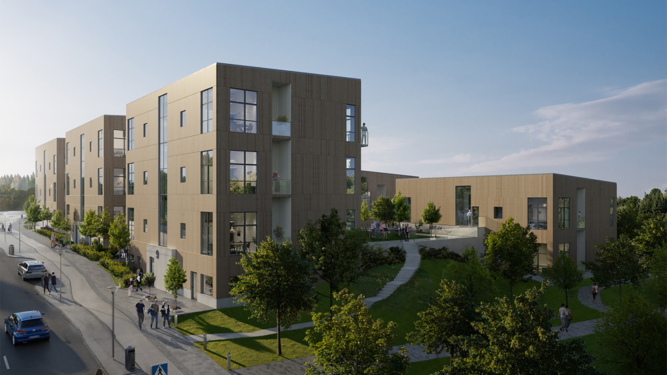 Grönskande bostadsområde, människor promenerar på gatan intill, illustration.