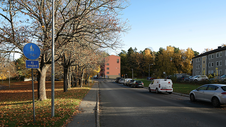 Väg i bostadsområde med gräsyta och träd på ena sidan, flerbostadshus på andra sidan, foto.