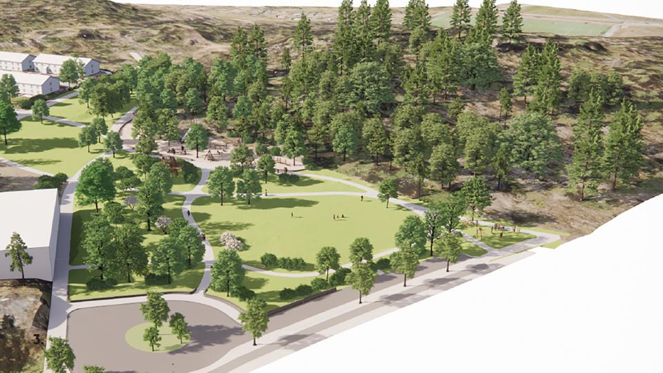 Naturpark med träd och grönytor intill väg, illustration.