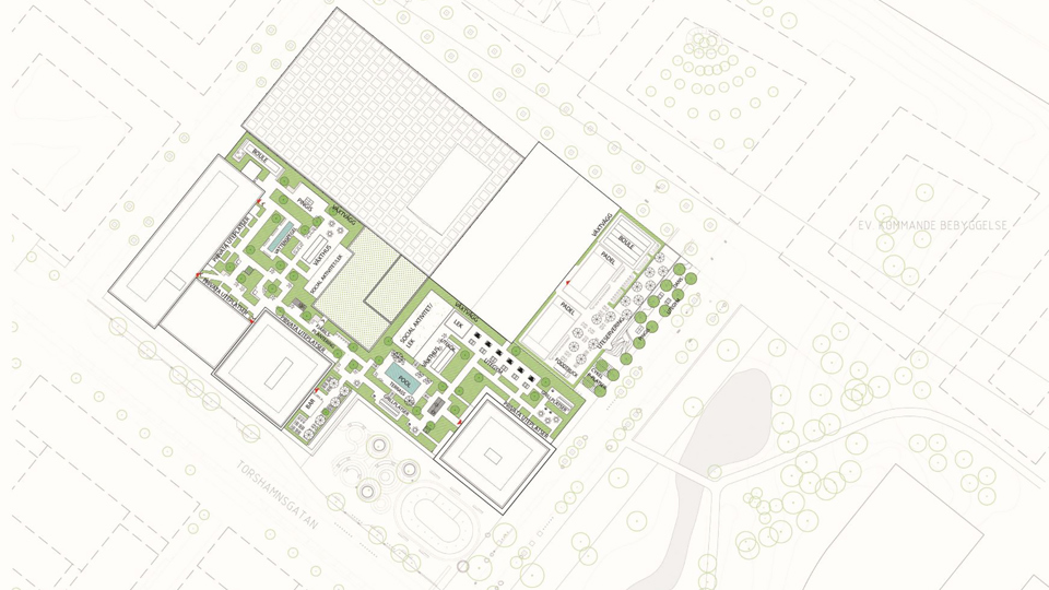 Bostadshus, gård med gräsmattor, buskar och pool. Illustration.