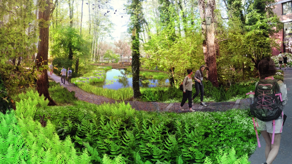 Gångväg genom naturområde med alkärr, träd, damm och grönska. Människor som promenerar på gångvägen. Illustration.