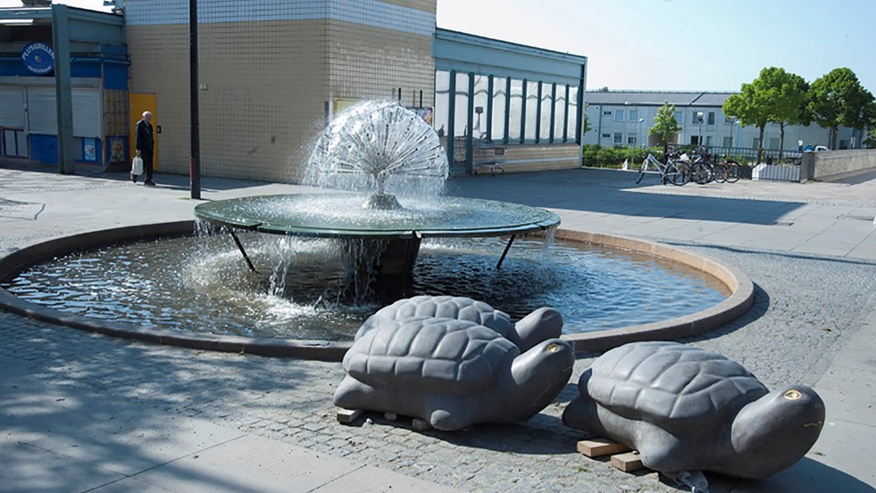 Fontän på torg, två skulpturer i form av sköldpaddor, fotografi.
