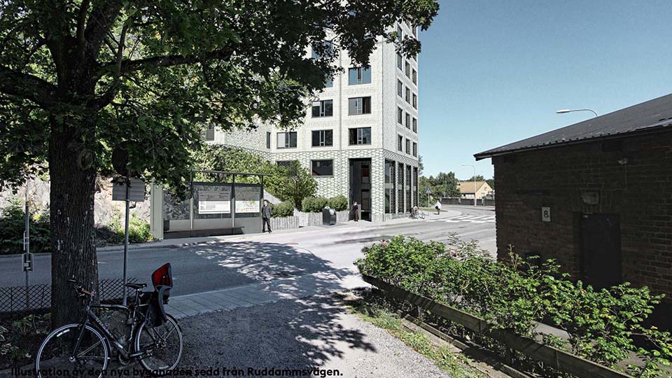 Ett vitt flerbostadshus skymtar fram bakom ett stort träd.