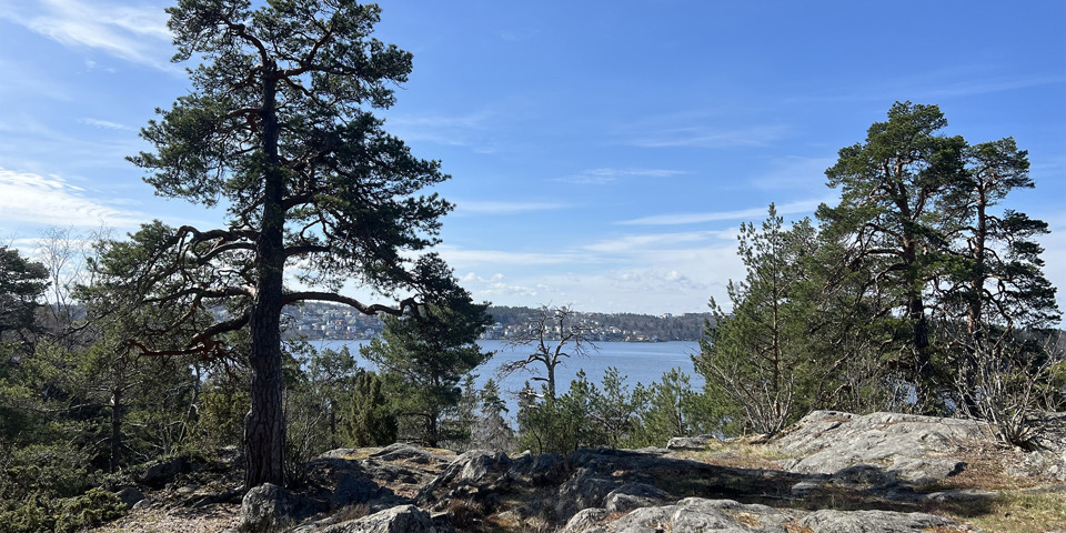Stenklippor med träd som delvis skymmer utsikten över vattnet.