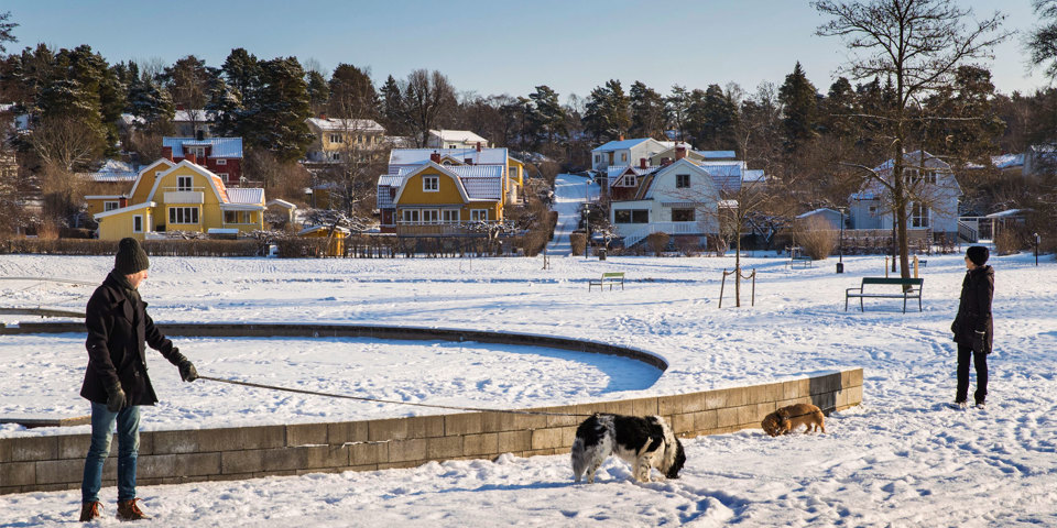 En snöklädd park i villaområde. Två personer som rastar sina hundar, foto.