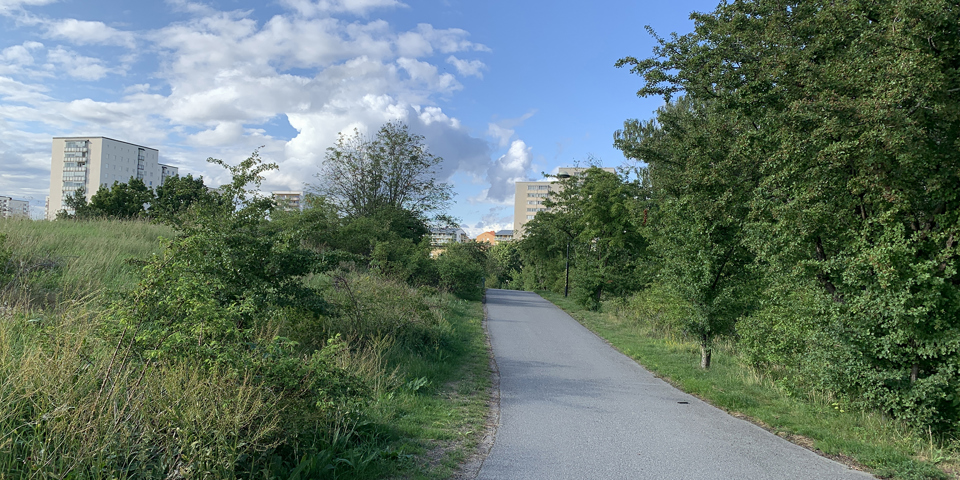 Gångväg kantad av buskar och träd. Längre fram syns flerbostadshus. Foto