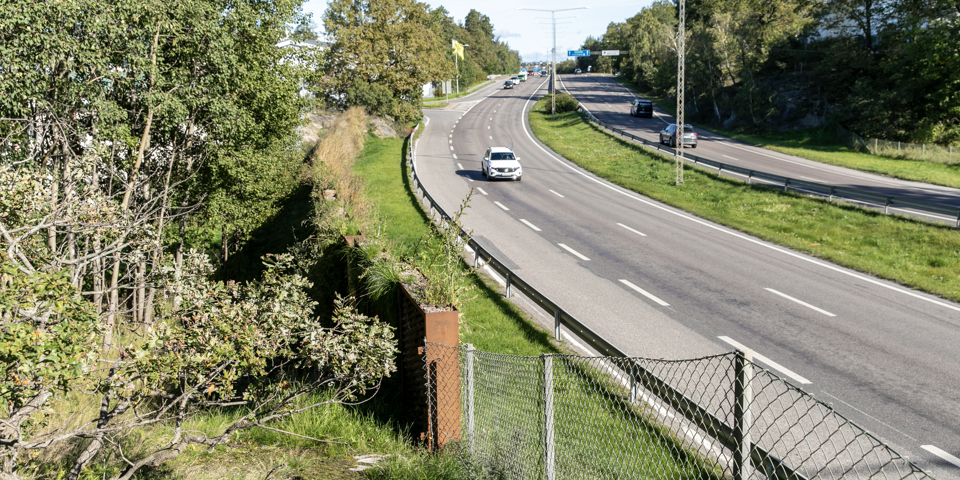 Den nya gröna bullerskyddsskärmen vid Hagsätraskogen.