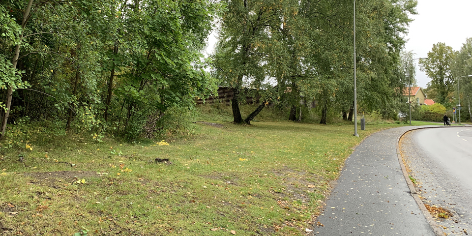 Gräsmatta och träd längs trottoar vid gata, foto.