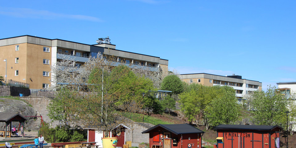 Solig dag i parklek med röda småhus. Träd och brungrå flervåningshus i bakgrunden, foto.