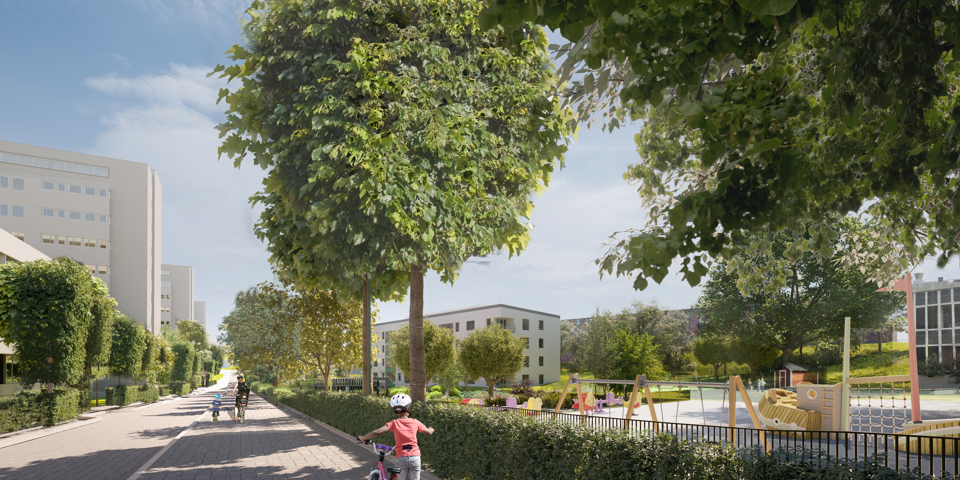 En park omgiven av träd, buskar, hus och cykelbana, illustration.