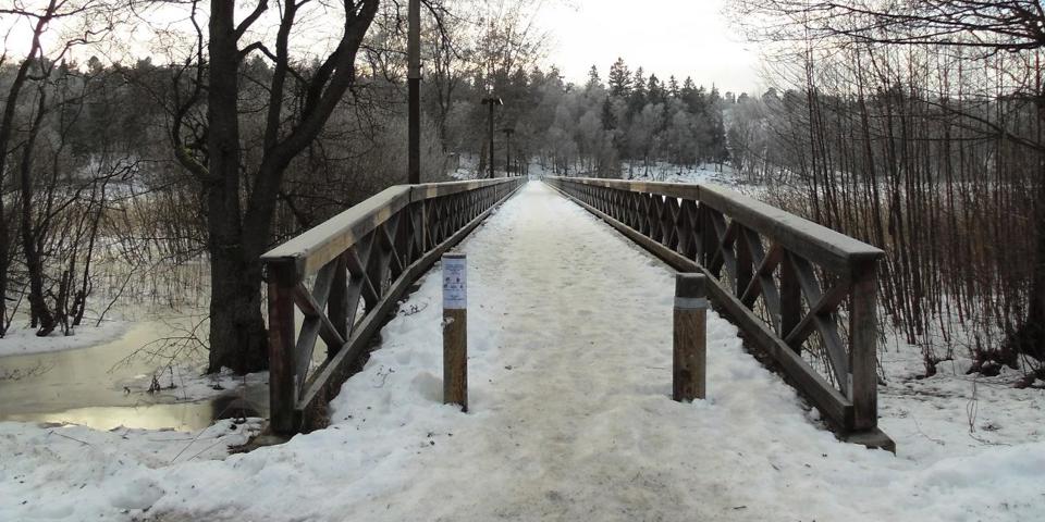 En bro över vatten, omgiven av träd. Marken är snötäckt. Foto.