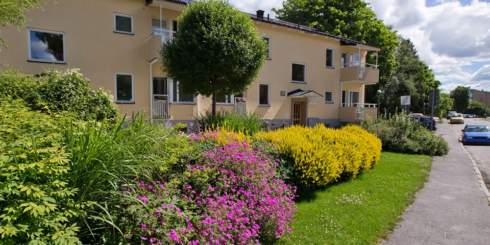 Bostadshus med balkonger, blomplanteringar, träd, gata och parkerade bilar. Foto.