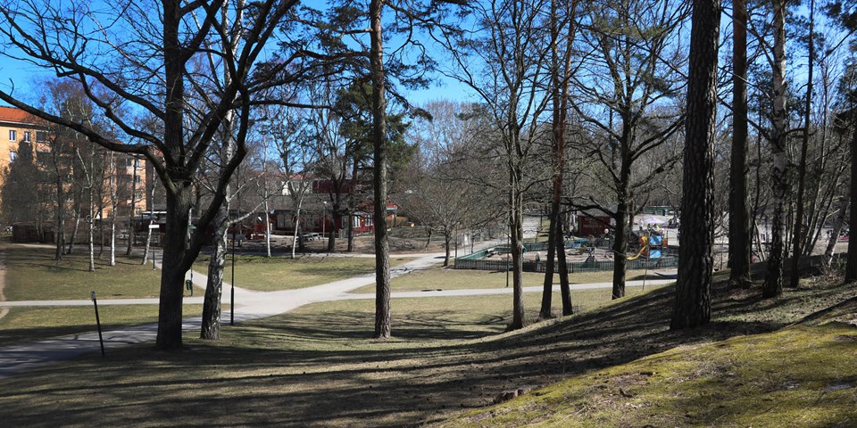 Från en kulle med träd ser man en lekpark, en förskola och parkvägar som korsas, fotografi.
