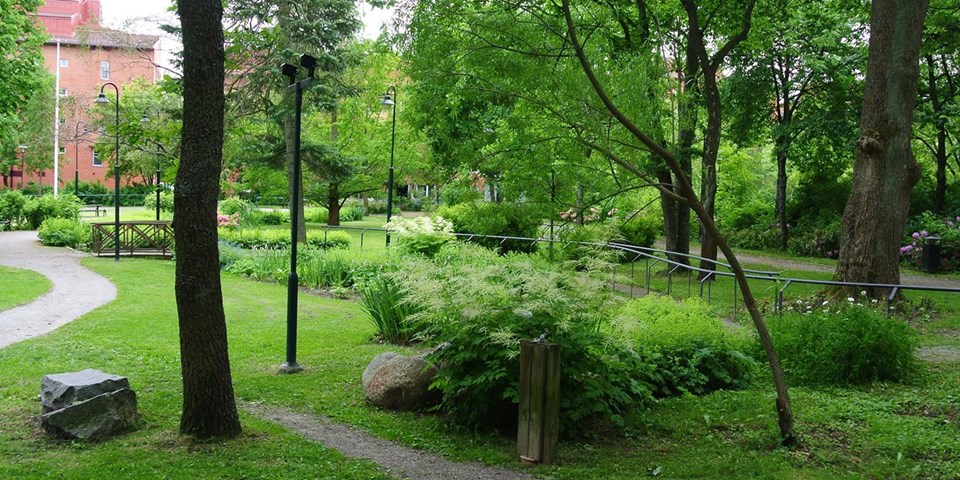 Parkområde med gräsytor, träd och promenadstigar, foto.