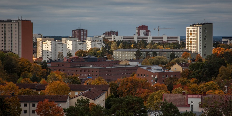Vy över flerbostadshus, träd, fotografi.