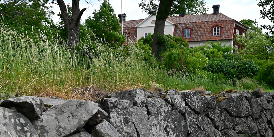 Hus med tegeltak skymtar bakom gräs och grönytor, stenmur i förgrunden, fotografi.