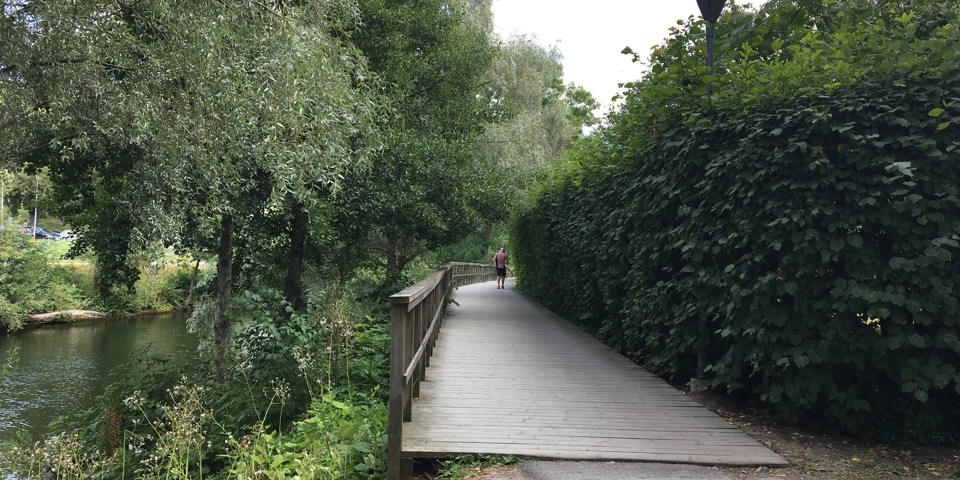 Strandpromenad i lummig park. En person som promenerar, foto.foto.