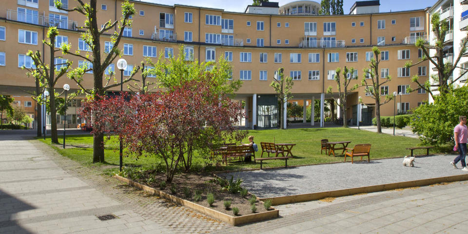 Liten park omgiven av flerbostadshus. Gräsmatta, träd, buskar, planteringar. Människor i rörelse. Foto.