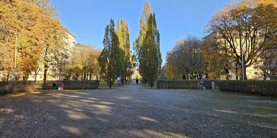 Grusyta och gångväg som leder in i en park, i bakgrunden syns flerbostadshus och träd med gulnande löv, fotografi.