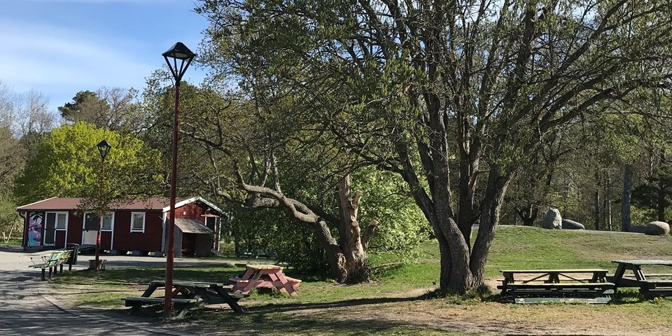 Lekplats med gräsmattor, stora träd, sittplatser och en gångväg fram till ett litet rött hus. Foto