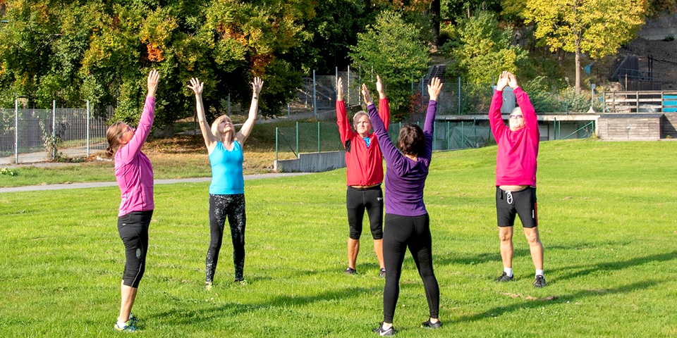 Fem äldre utövar gymnastik på en gräsmatta 