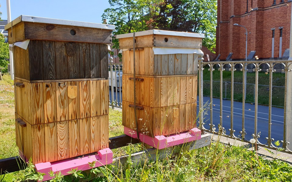 Två bikupor i trä ståendes utomhus. Foto.
