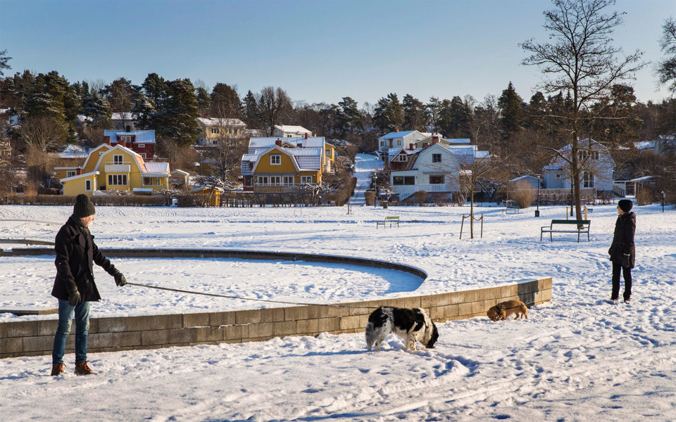 En snöklädd park i villaområde. Två personer som rastar sina hundar, foto.