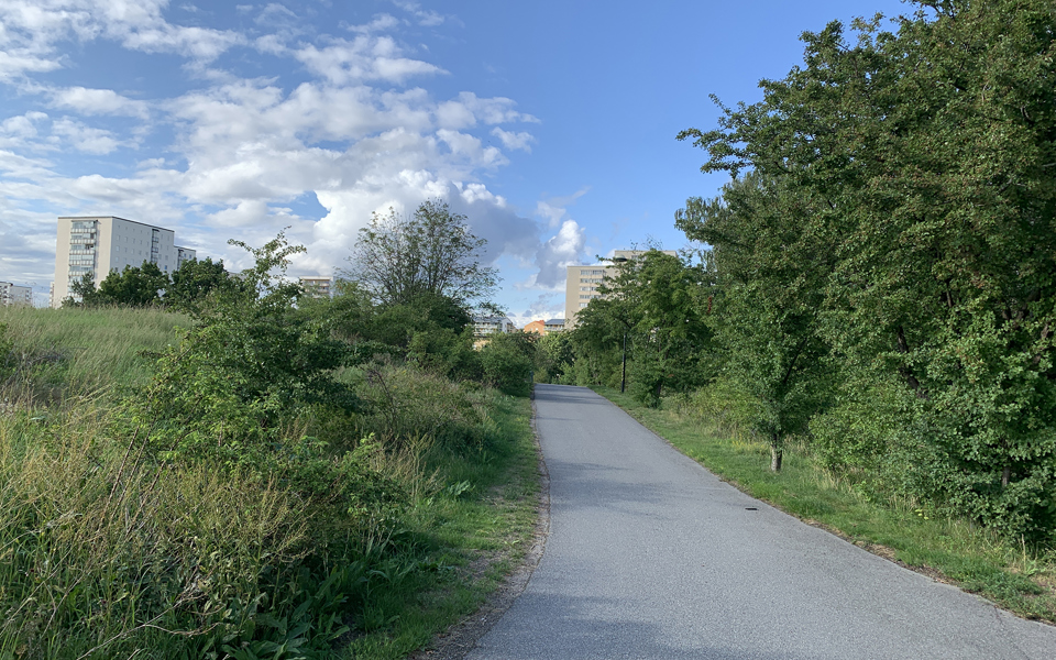 Gångväg kantad av buskar och träd. Längre fram syns flerbostadshus. Foto
