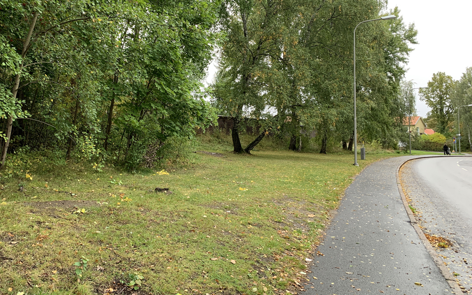 Gräsmatta och träd längs trottoar vid gata, foto.