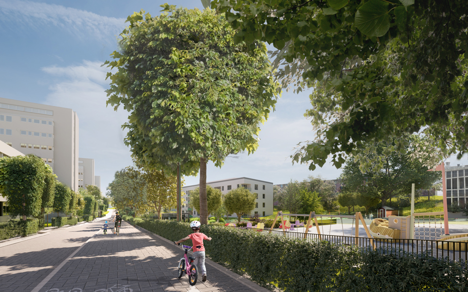 En park omgiven av träd, buskar, hus och cykelbana, illustration.