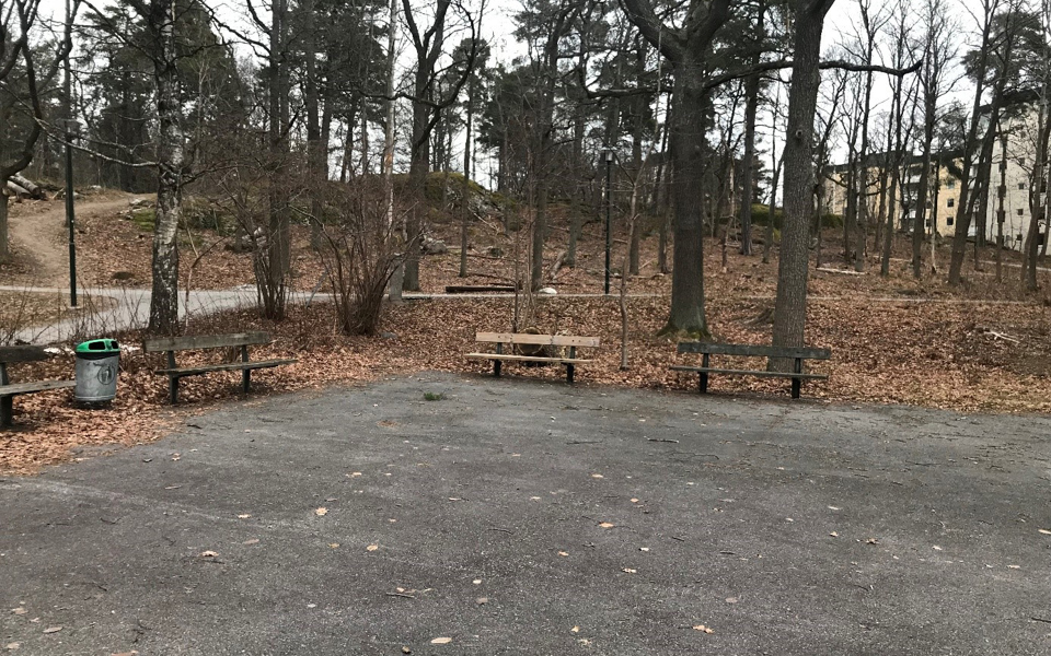 Asfaltsplan omgiven av träbänkar och kala träd. Hus i bakgrunden, foto.