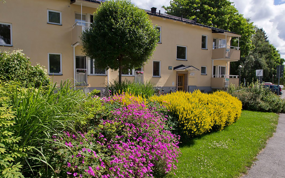 Bostadshus med balkonger, blomplanteringar, träd, gata och parkerade bilar. Foto.