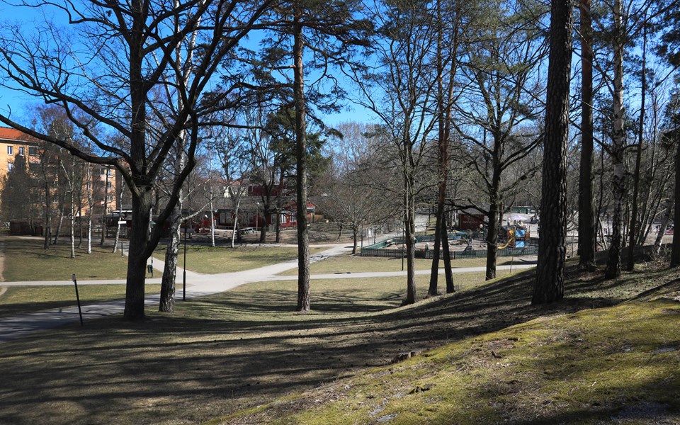 Från en kulle med träd ser man en lekpark, en förskola och parkvägar som korsas, fotografi.