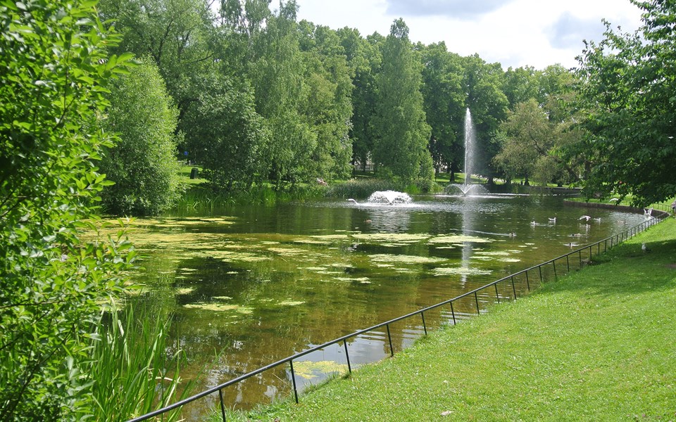 En stor damm med fontän som är inramad av många gröna träd.